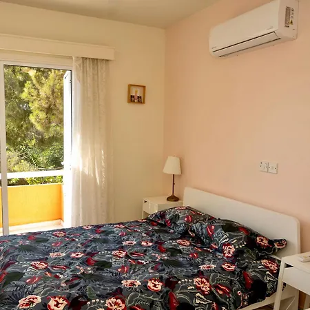 Elite Family With Playground & Play Ship *