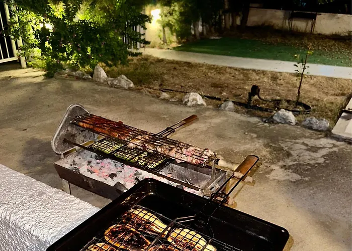 Elite Family With Playground & Play Ship *